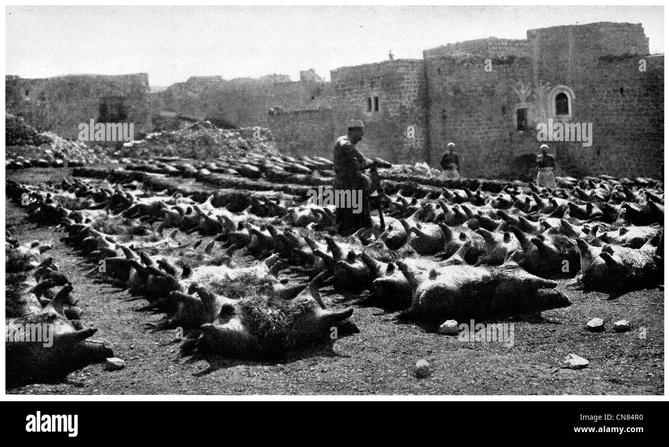 First published 1917 Tannery Hebron City Near Jerusalem Tanning Stock Photo