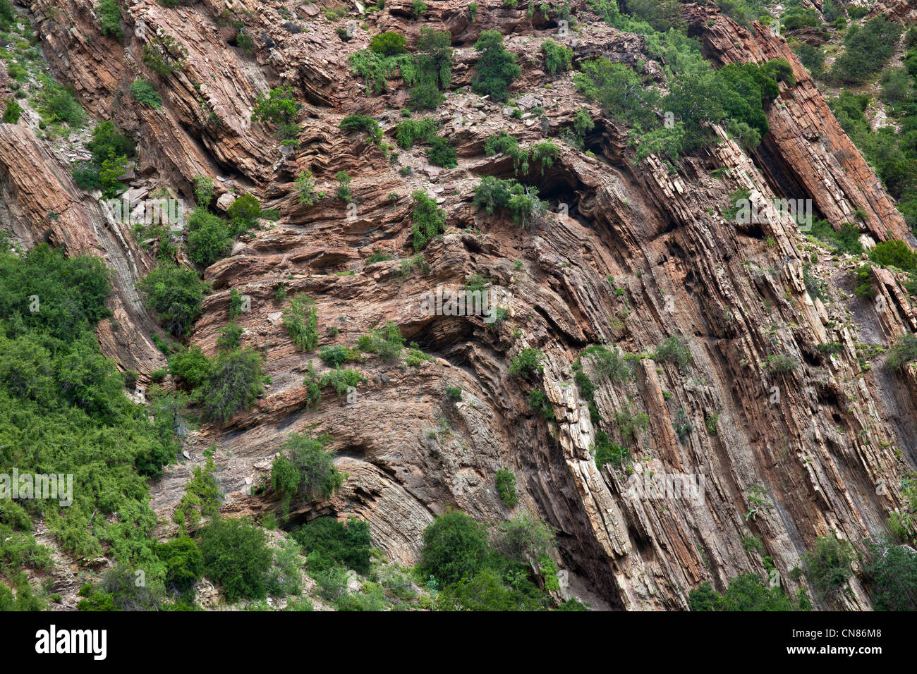Small Folded Rocks Folded rocks hi-res stock photography and images - Alamy