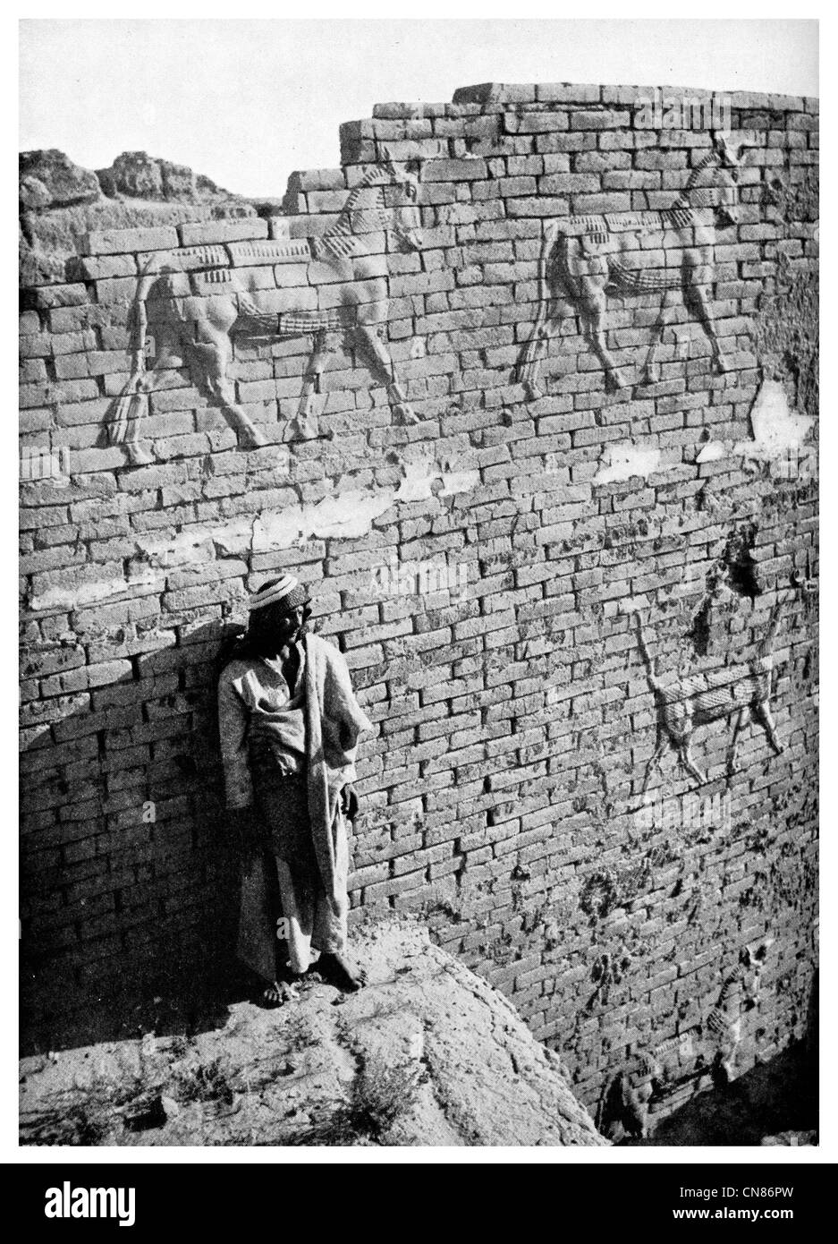 First published 1916  Bas Refief Sacred Bull Dragon Ishtar Gate Babylon King Sargon Stock Photo