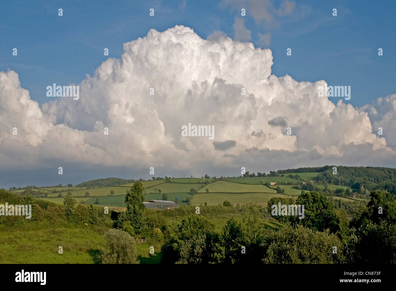 Developing cumulonimbus clouds near  Bradninch, Devon Stock Photo