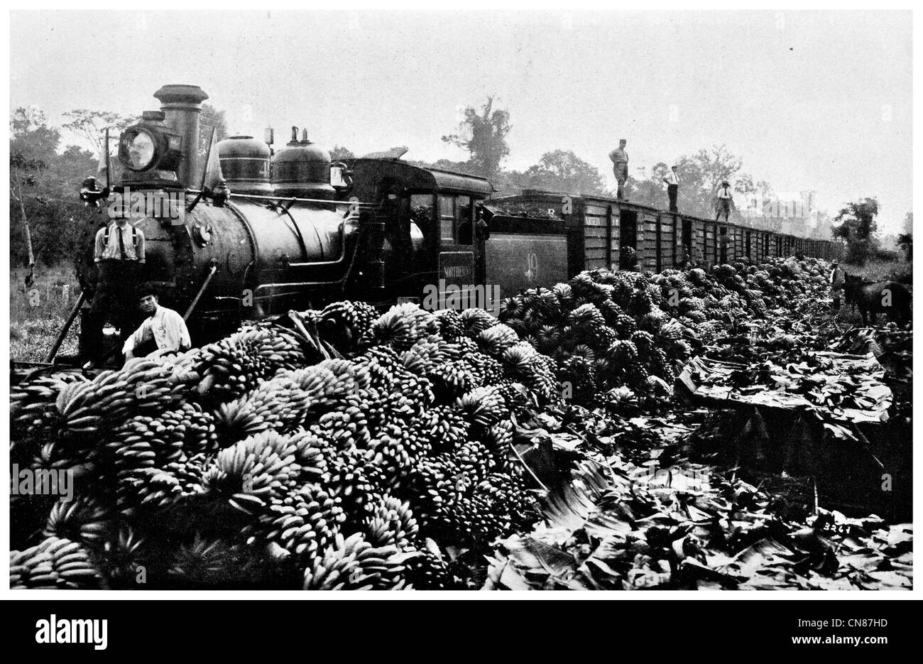 First published 1916 Loading Bananas  Costa Rica trade Train Stock Photo
