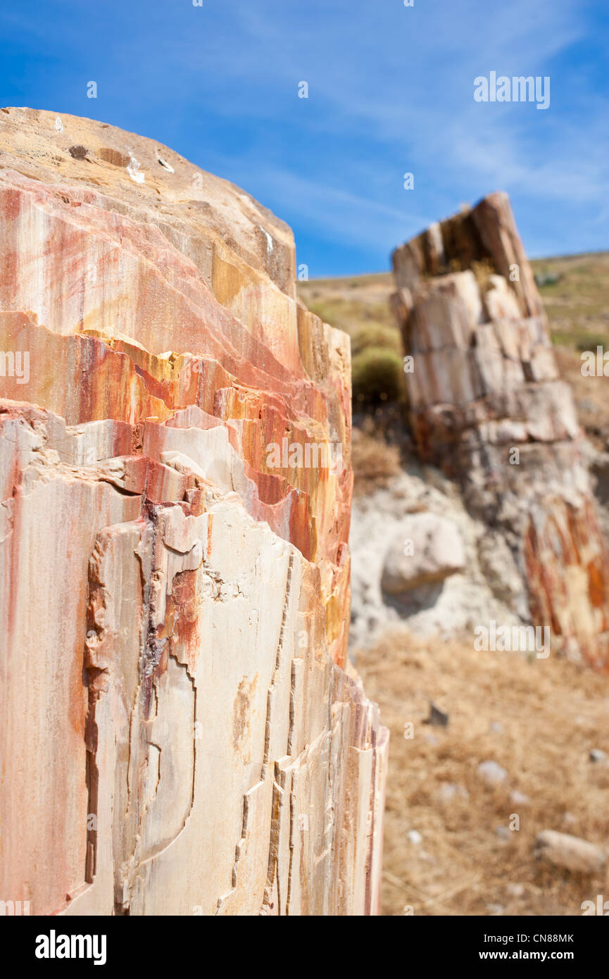 Grèce, north east Aegean islands, Lesbos island, the Petrified Forest Stock Photo
