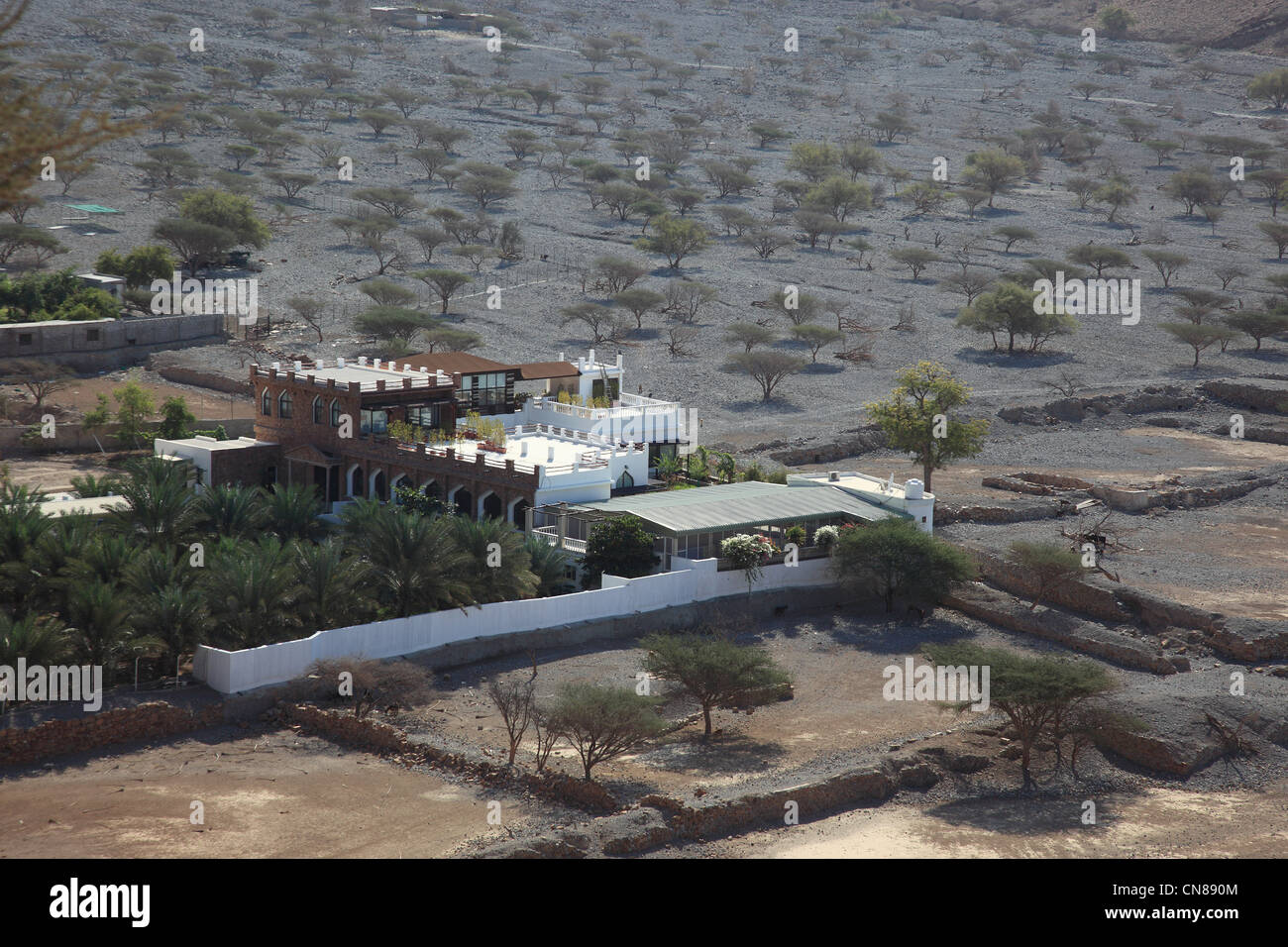 Palmenhain in der Bucht von Bukha, in der omanischen Enklave Musandam, Oman Stock Photo
