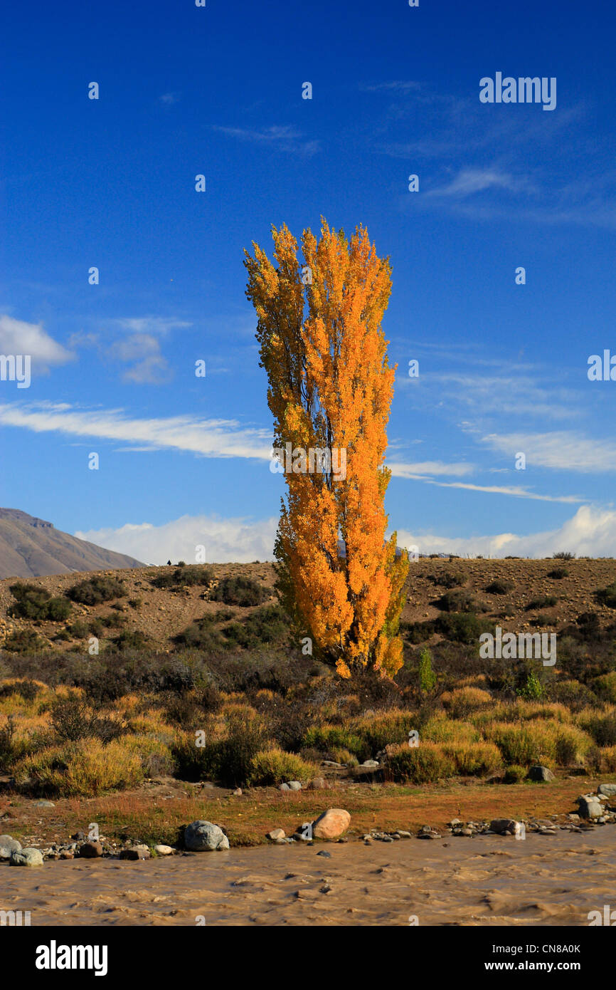Argentina, Patagonia, Santa Cruz province, Los Glaciares national park ...