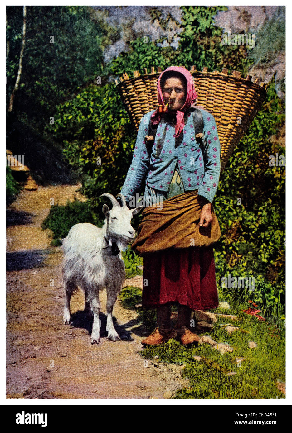 First published 1915 Northern Italy Italian woman and Goat pipe basket Stock Photo
