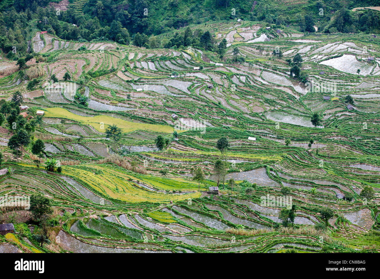 Landscape of  Yuan Yang Titian rice terraces, Stock Photo