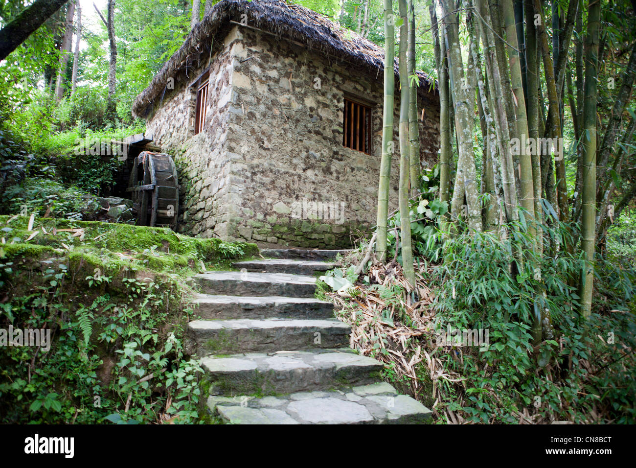 Hani minority village water mill in Xinjiezhen, Yuan Yang, YunNan, China Stock Photo