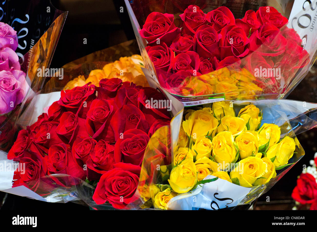 Fresh flowers for sale at a Safeway grocery store, Salida, Colorado, USA Stock Photo