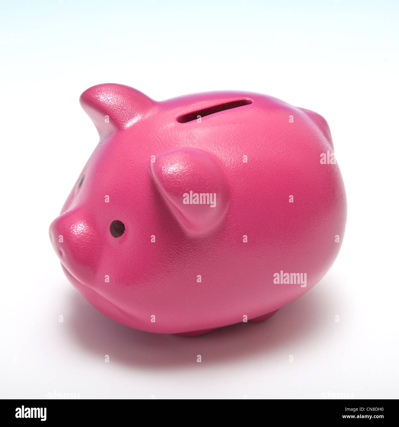 Pink Piggy Bank Or Money Box On A Graduated Blue Studio Background - pink piggy bank or money box on a graduated blue studio background