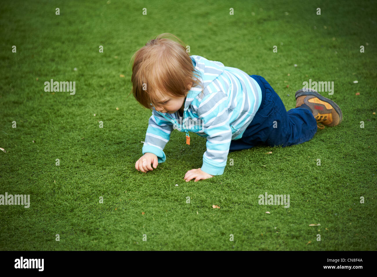 Cute little child girl crawling on the green grass in the park, summer Stock Photo