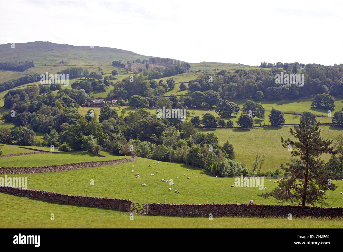 Troutbeck valley, Lake District, Cumbria, England Stock Photo Alamy