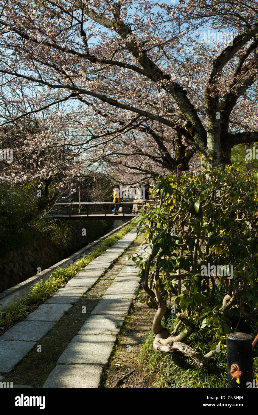 The Philosopher's Walk Tetsugaku-no-michi, literally Path of Philosophy is a pedestrian path that follows a cherry-tree lined ca Stock Photo