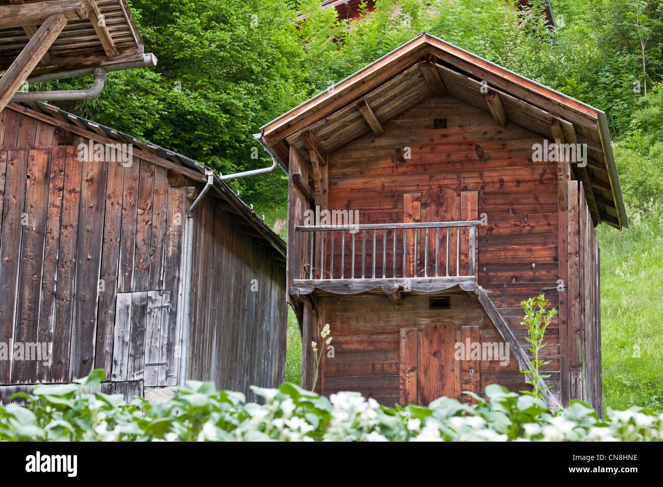 France, Haute Savoie, Giffre valley, Sixt Fer a Cheval, labelled Les