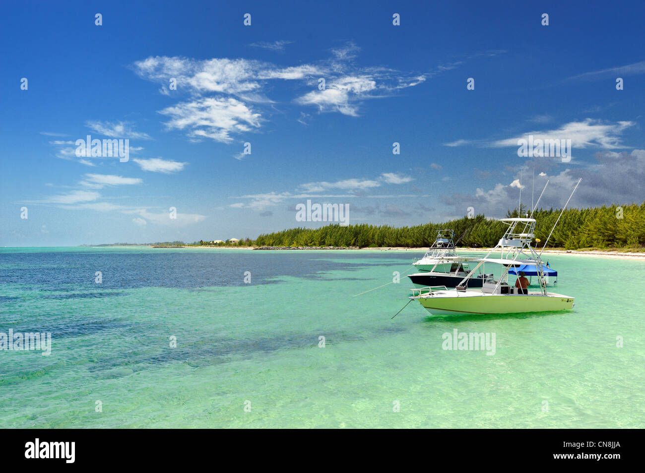 Bahamas, Grand Bahama Island, Mather Town, Fortune Beach, plaisanse