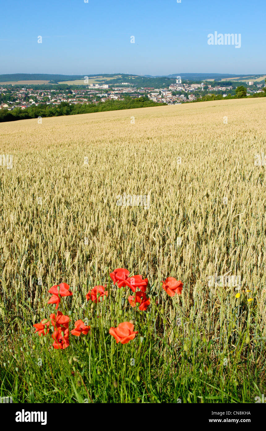 France, Meuse, Verdun, landscape overlooking the city on the road to Fleury devant Douaumont shortly before the start of the Stock Photo