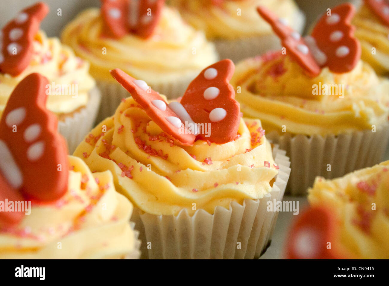 Close up shot of a selection of beautiful butterfly cakes, with yellow butter icing and pink iced butterflies. Stock Photo