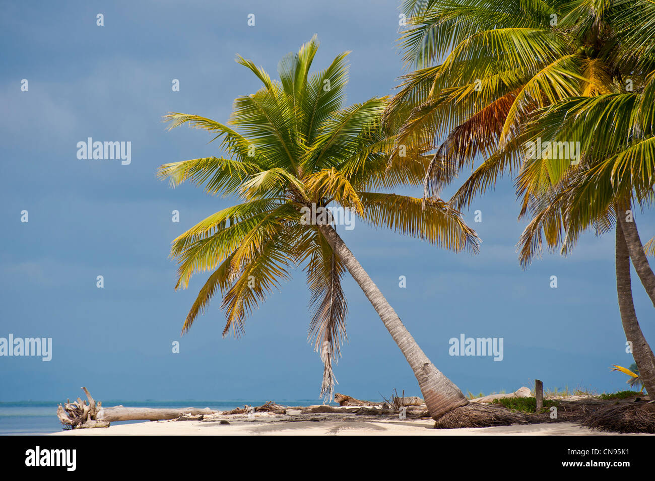 Panama, San Blas archipelago, Kuna Yala autonomous territory, Ailigandi island, one of 378 islands Stock Photo