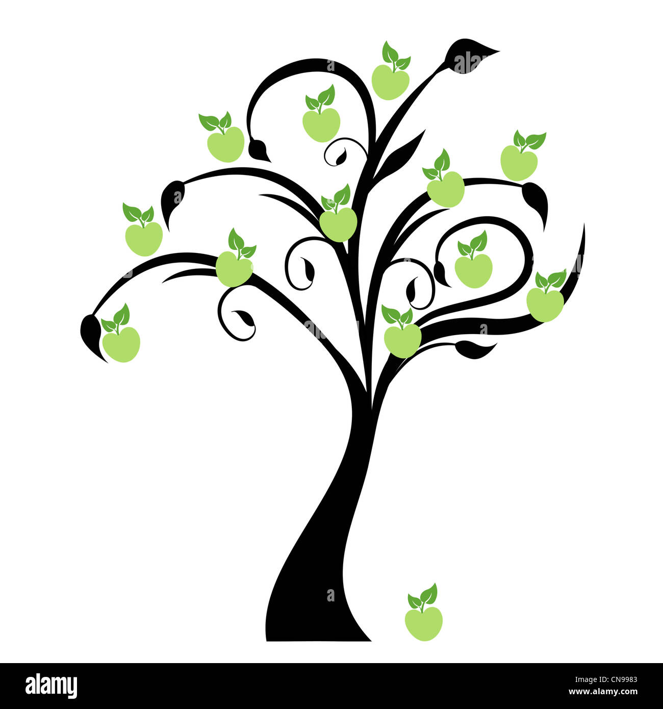 Beautiful apple tree isolated on white background Stock Photo - Alamy