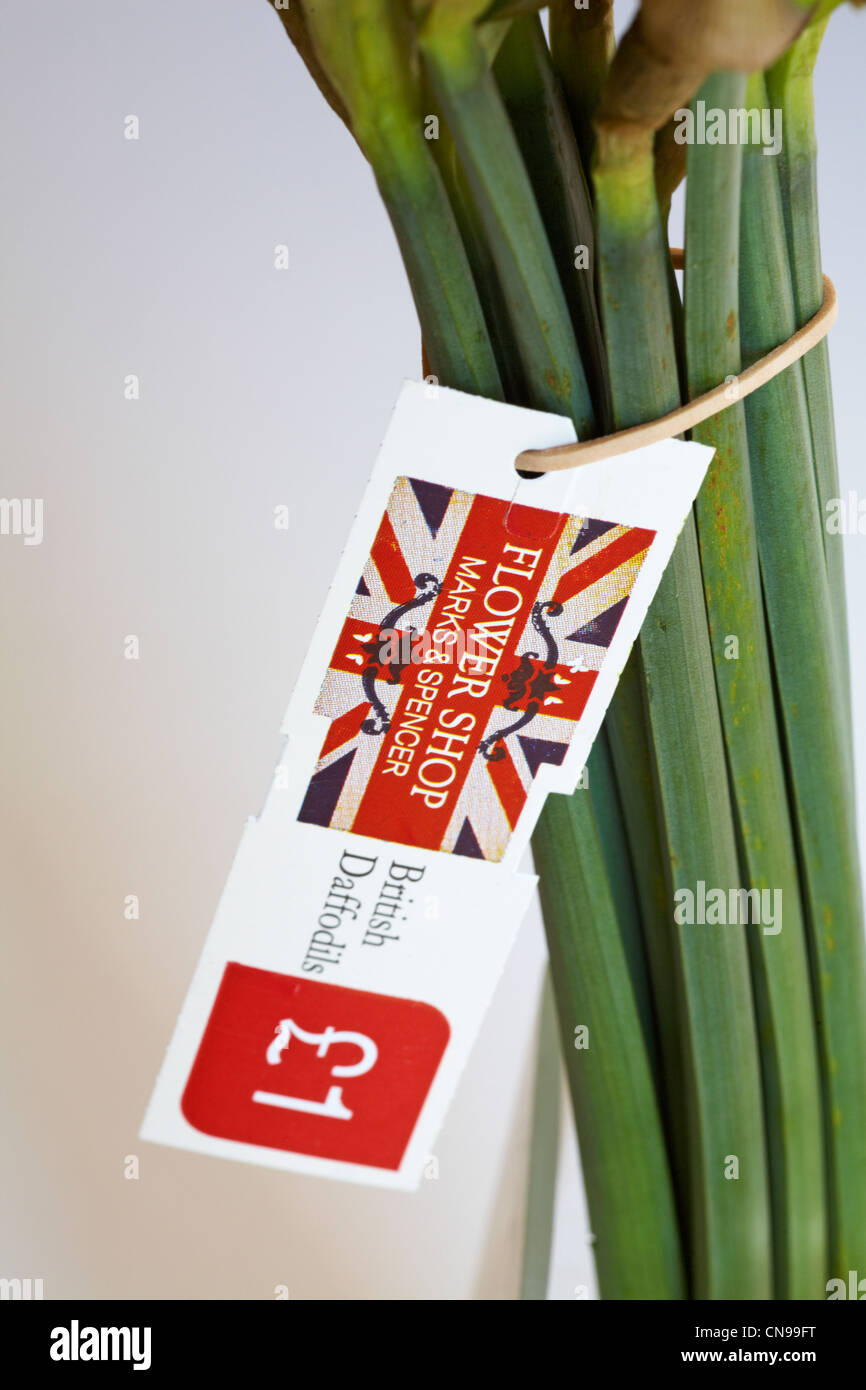 Flower Shop Marks & Spencer label on bunch of British daffodils set