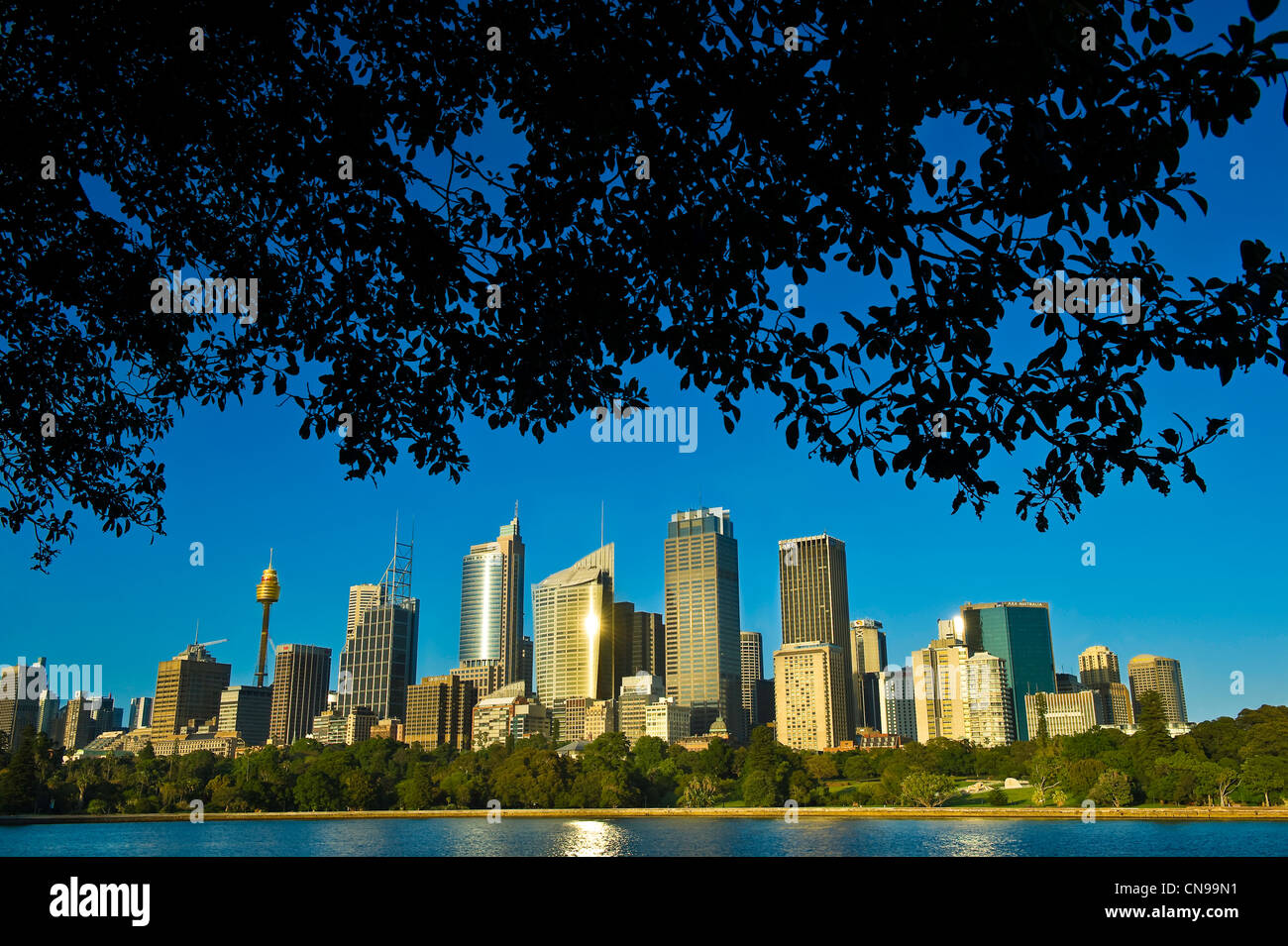 Australia, New South Wales, Sydney, City center with the AMP Tower, the highest tower of the south hemisphere (305m) completed Stock Photo