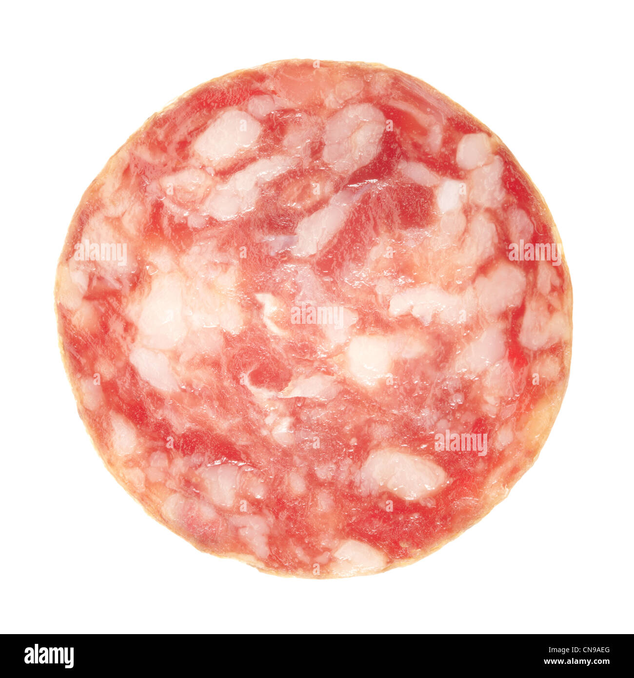 Salami slice Stock Photo Alamy