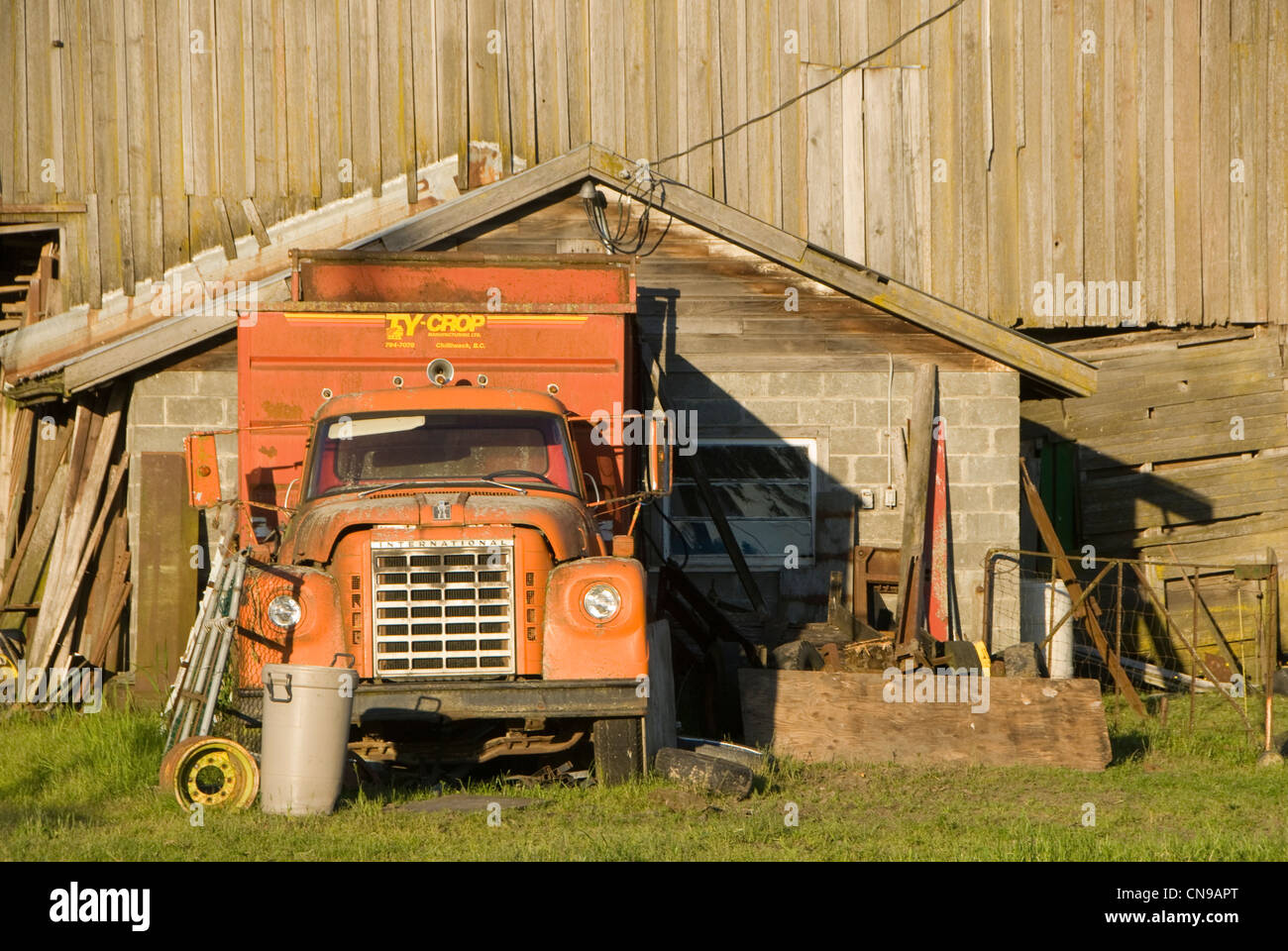 Red International truck outside barn near Chilliwack, British Colombia, Canada Stock Photo