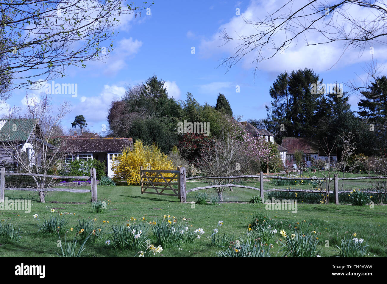Sussex countryside on sunny April day Stock Photo - Alamy