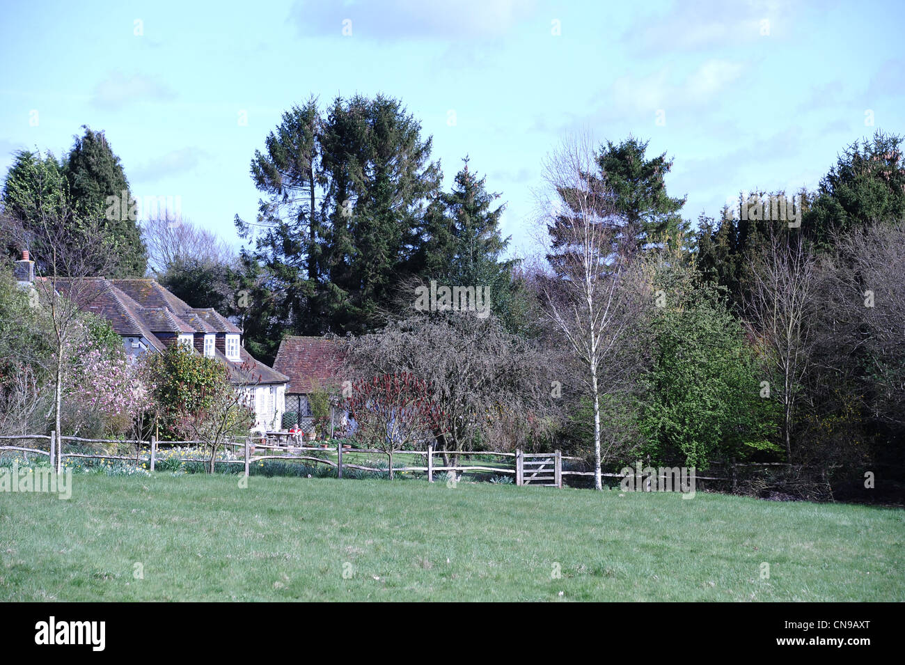 Sussex countryside on sunny April day Stock Photo - Alamy
