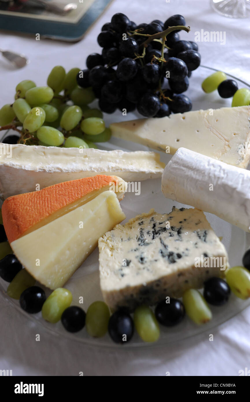 Cheese plateau or plate at a dinner table with grapes placed around the edge Stock Photo