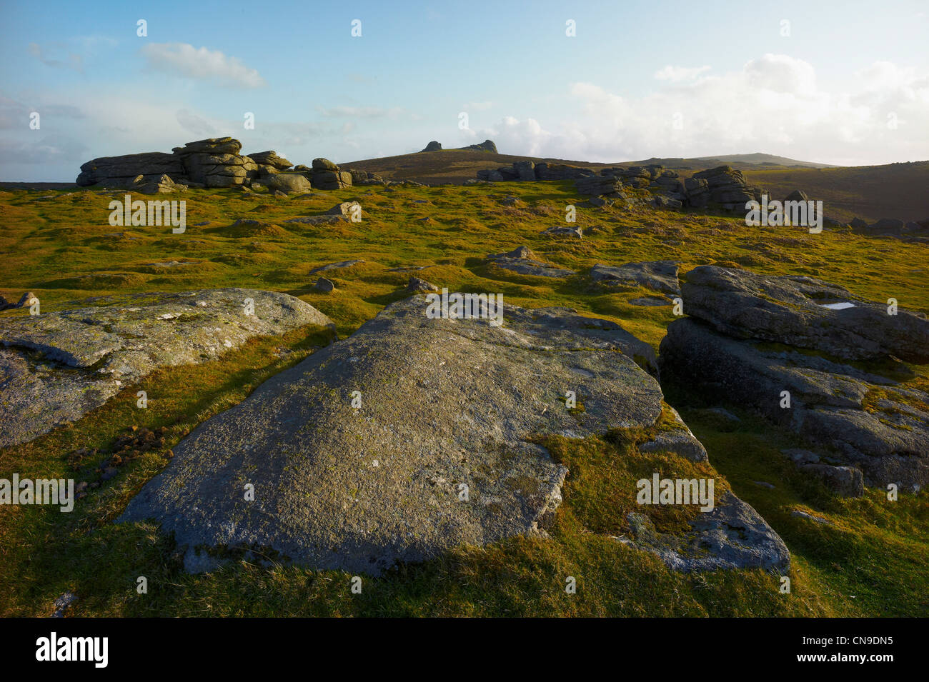 Granit Slabs and rocks with Haytor in background Dartmoor National Park Devon England Stock Photo