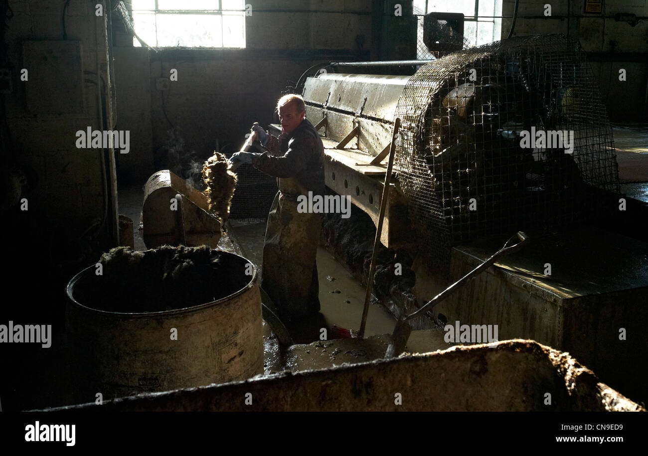 Cleaning the de haring machine at Bakers Oak Bark Tannery Colyton Devon England Stock Photo