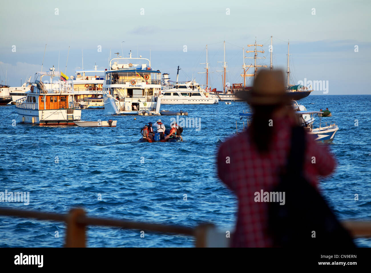 Ecuador, Galapagos Islands, Santa Cruz Island, Puerto Ayora, the harbour Stock Photo