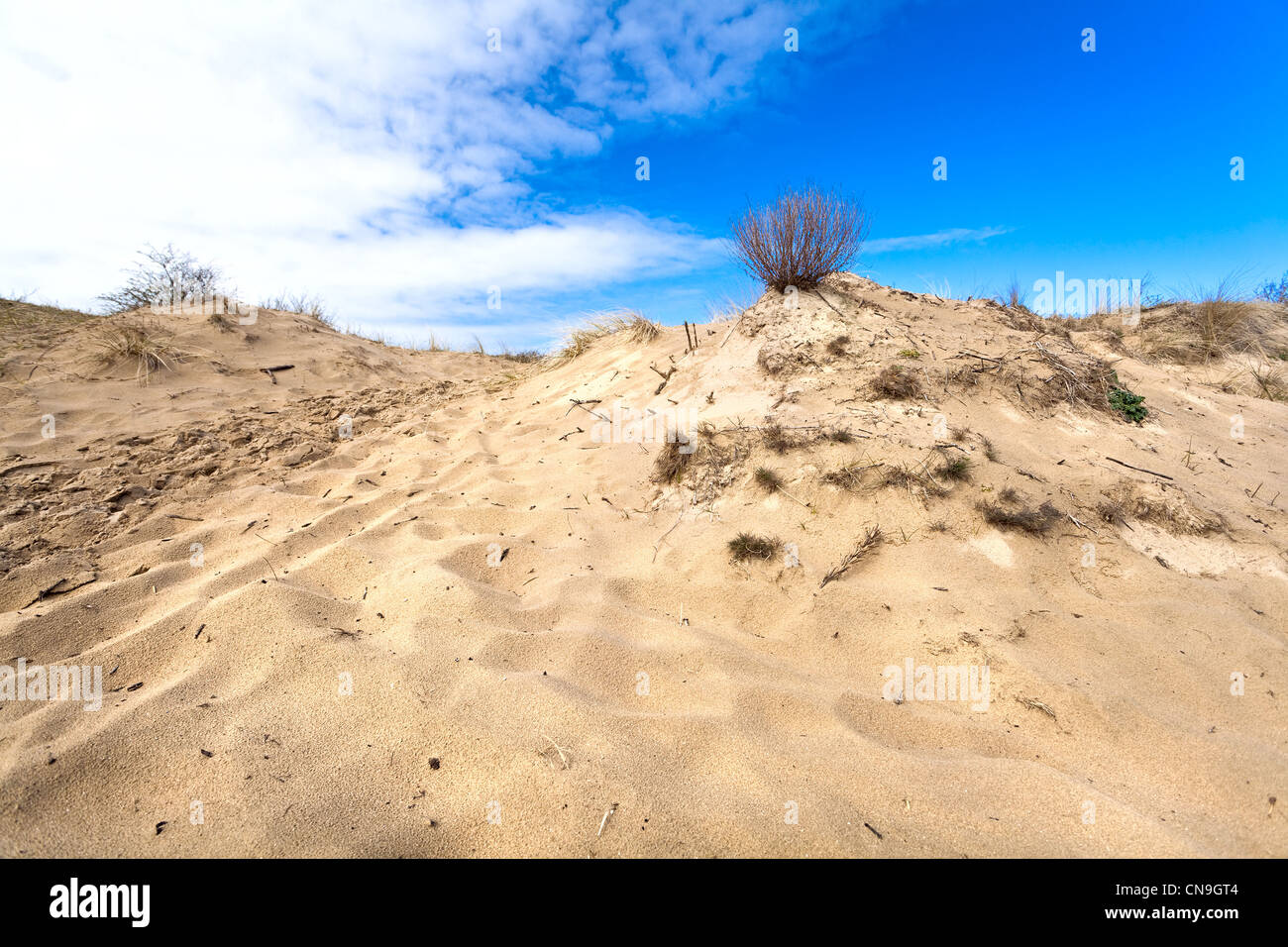 sandy dune over blue sky close to Haarlem in Netherlands Stock Photo