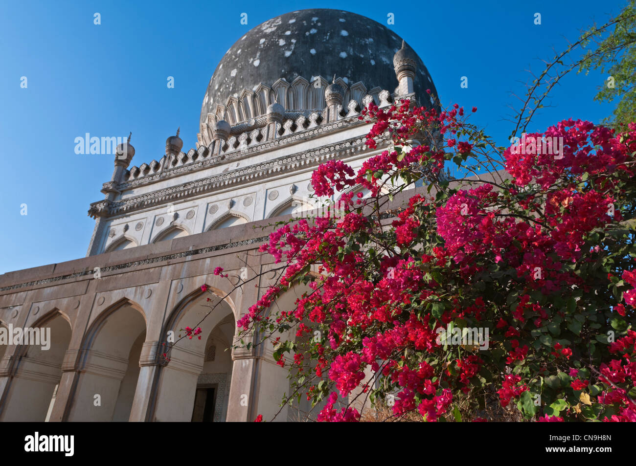 Golconda tombs hi-res stock photography and images - Alamy