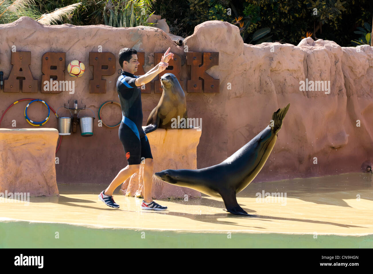 Lanzarote, Canary Islands - Rancho Texas, amusement park and zoo. California Sealion show. Stock Photo