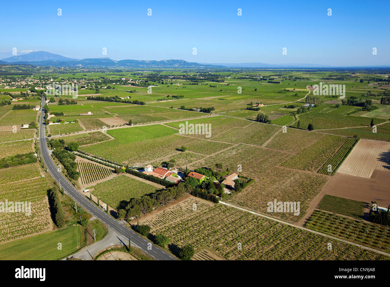 France, Vaucluse, Ste Cecile les Vignes, Domaine de la Grand'Ribe