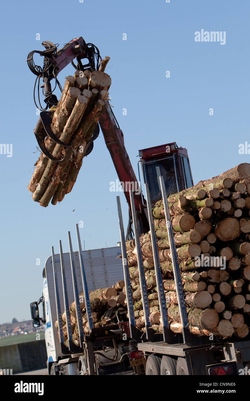 Timber loading scotland hi-res stock photography and images - Alamy