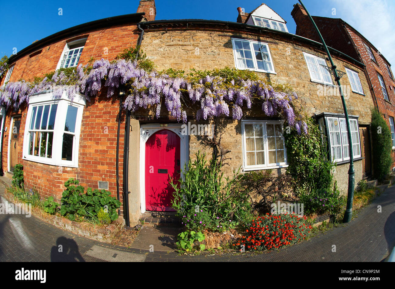 Town cottages with wisteria growing on them. Buckingham High Street, Bucks Stock Photo