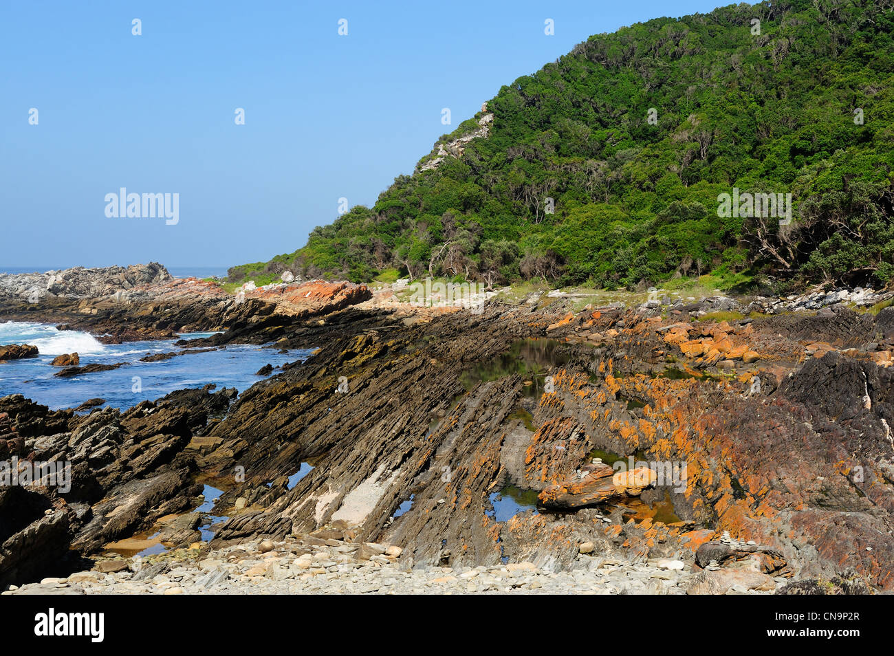 Otter Trail, Tsitsikamma National Park, Eastern Cape, South Africa Stock Photo