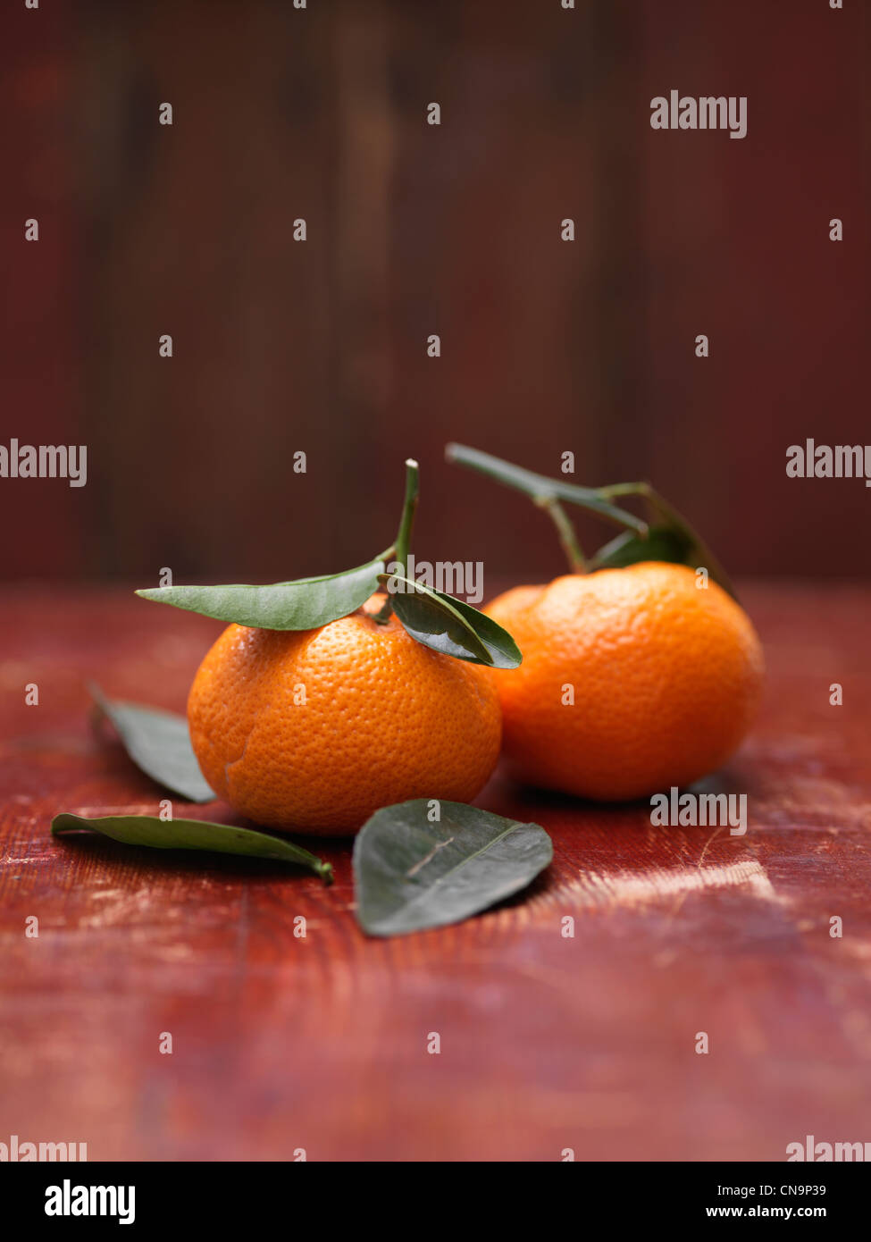 Satsumas with stems and leaves Stock Photo Alamy
