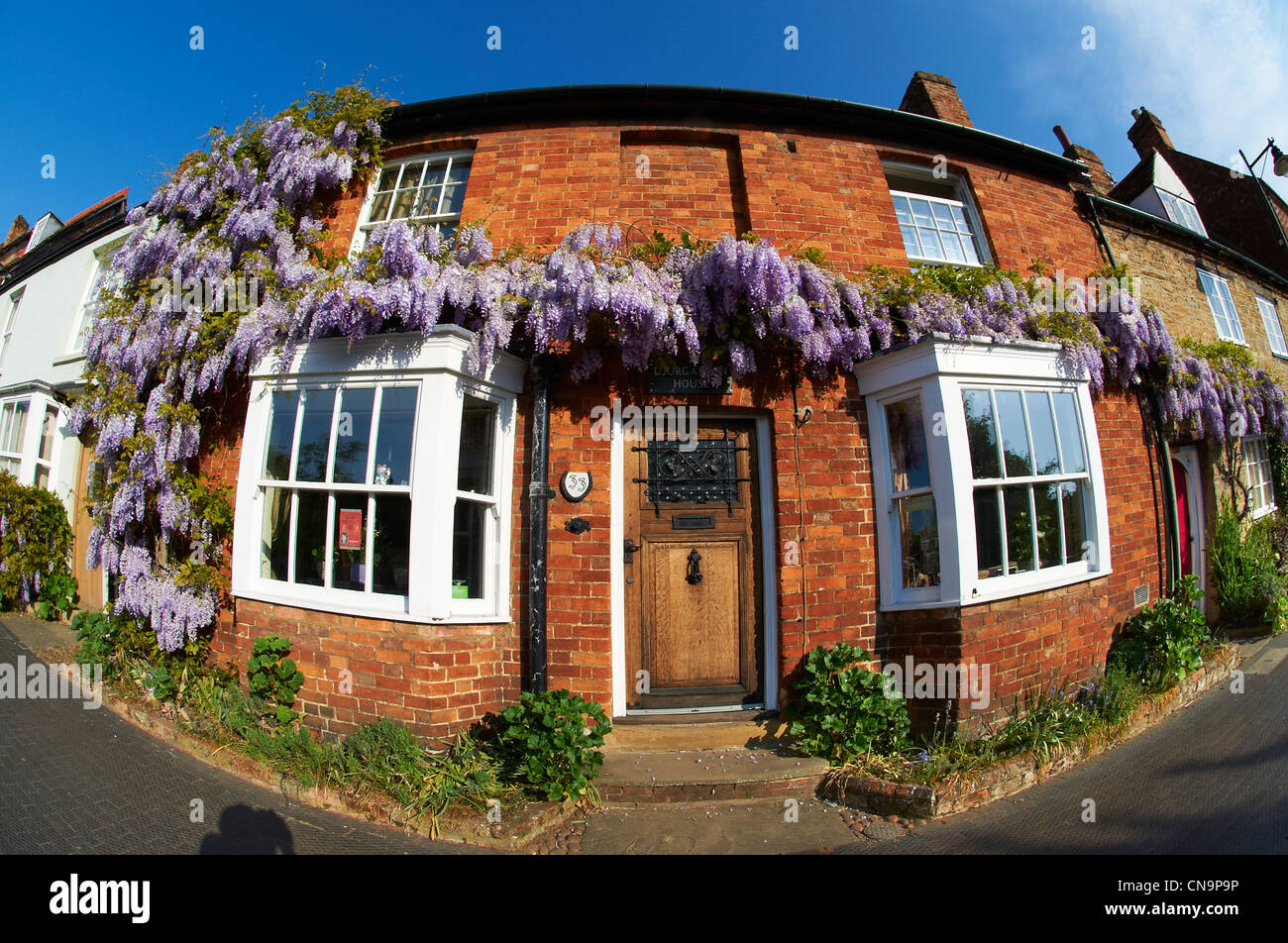 Town cottages with wisteria growing on them. Buckingham High Street, Bucks Stock Photo