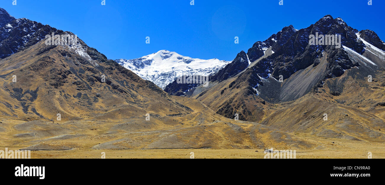 Peru, Puno province, landscape of the altiplano, La Raya Pass (4338m) Stock Photo