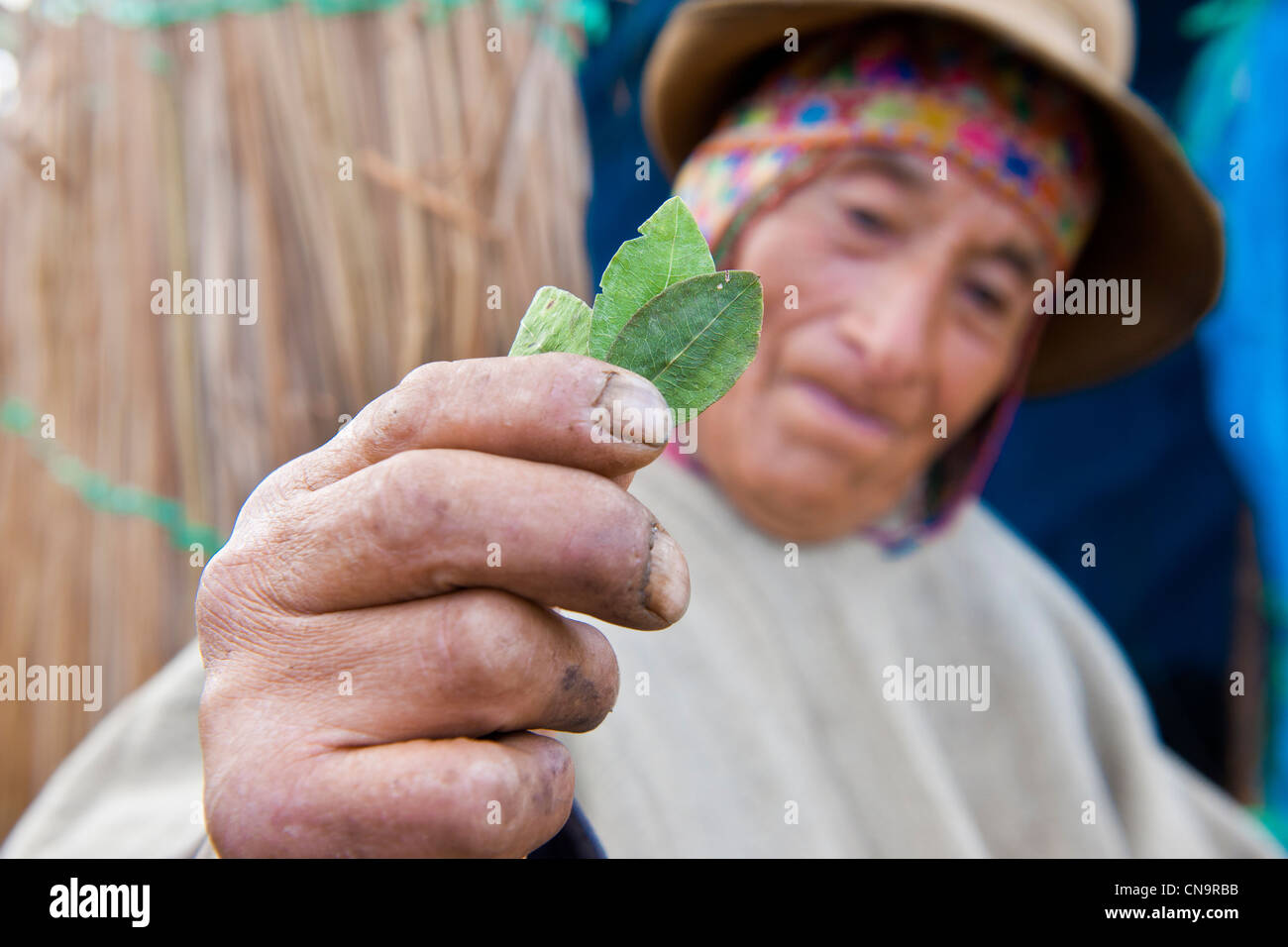 Peru, Cuzco province, Huasao, listed as mystic touristic village, shaman (curandero) exhibiting coca leaves Stock Photo