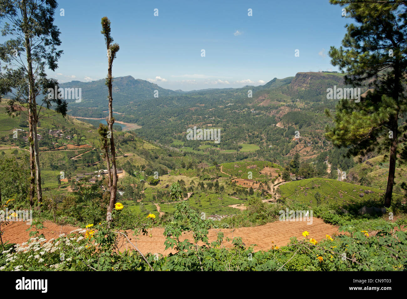 View of the hill country Sri Lanka Stock Photo