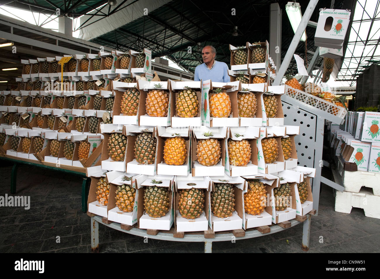Portugal, Azores islands, Sao Miguel island, covered market in Ponta Delgada, Azores pineapple