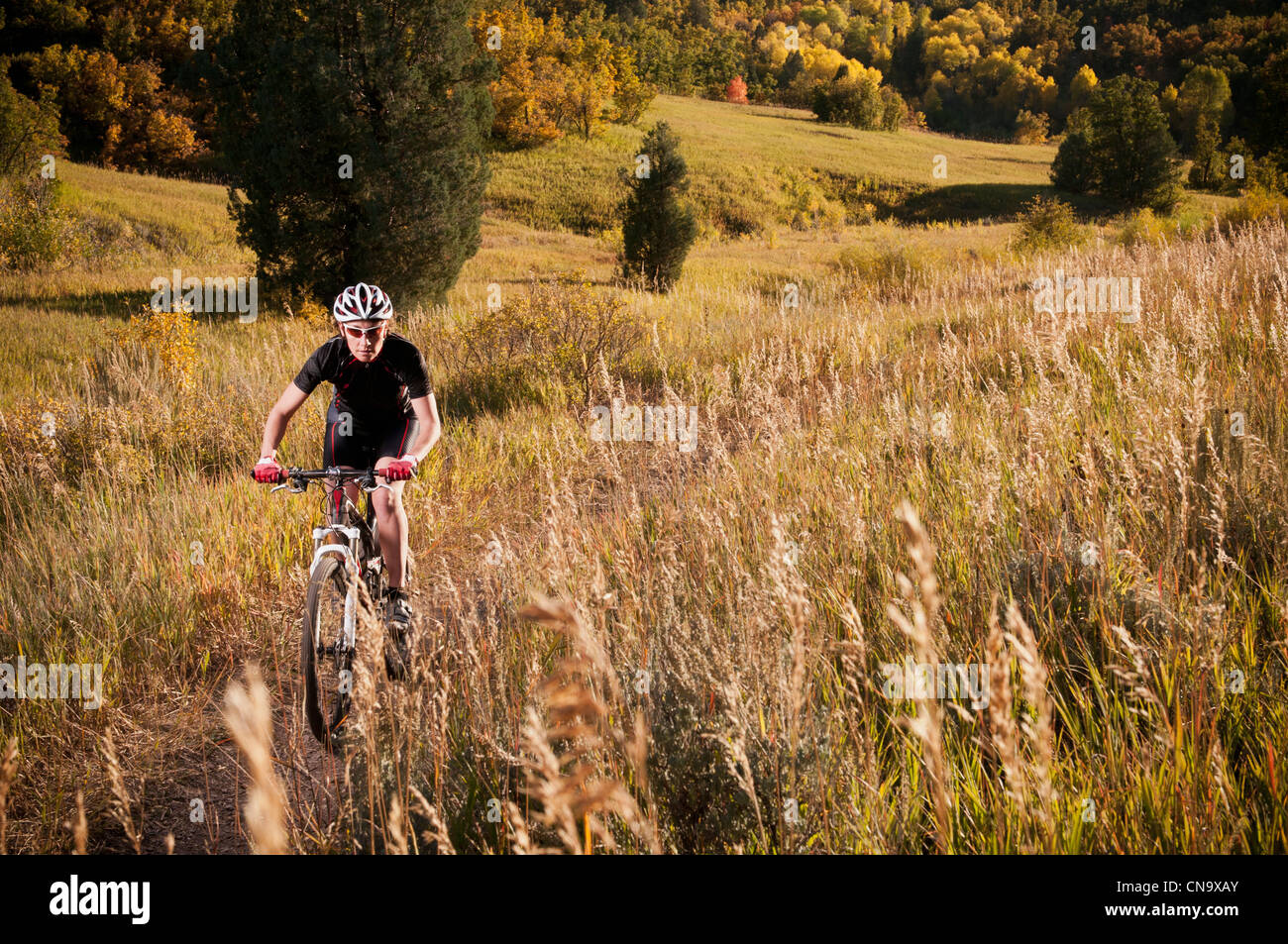 Mountain biker on dirt path Stock Photo