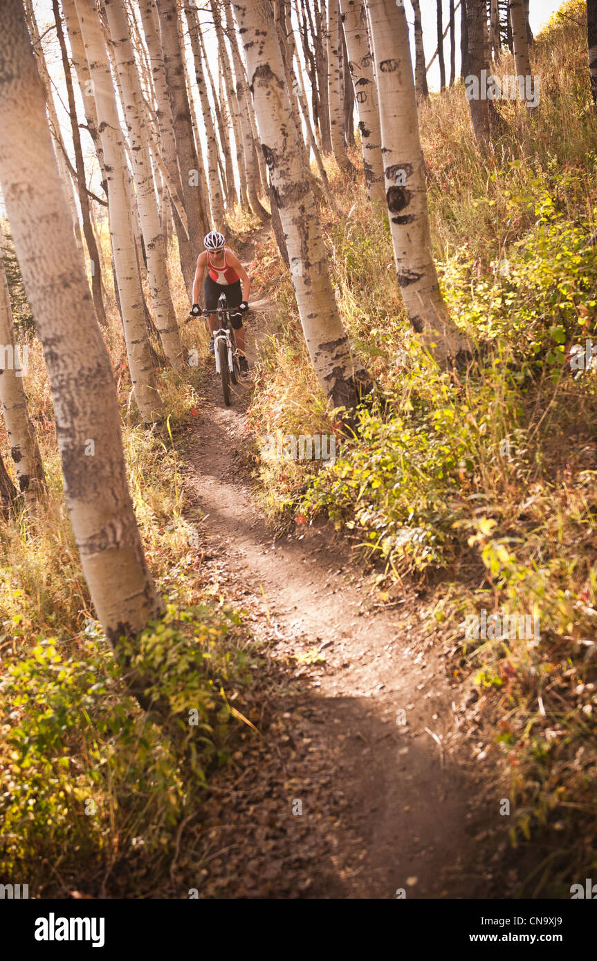 Mountain biker on dirt path Stock Photo