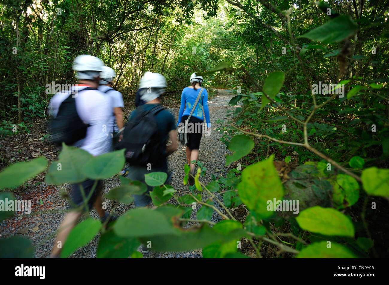 Lago do mato grosso hi-res stock photography and images - Alamy