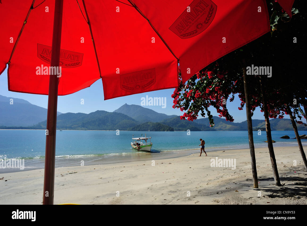 Brazil, Rio de Janeiro State, Paraty, Pelado island, the beach Stock Photo