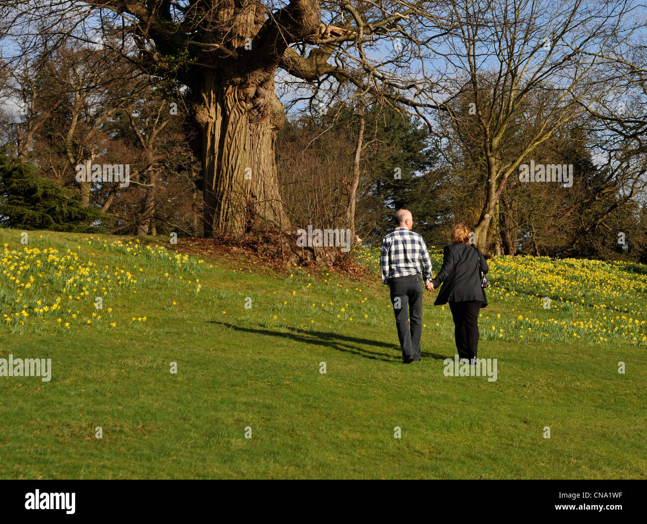 country walk Stock Photo